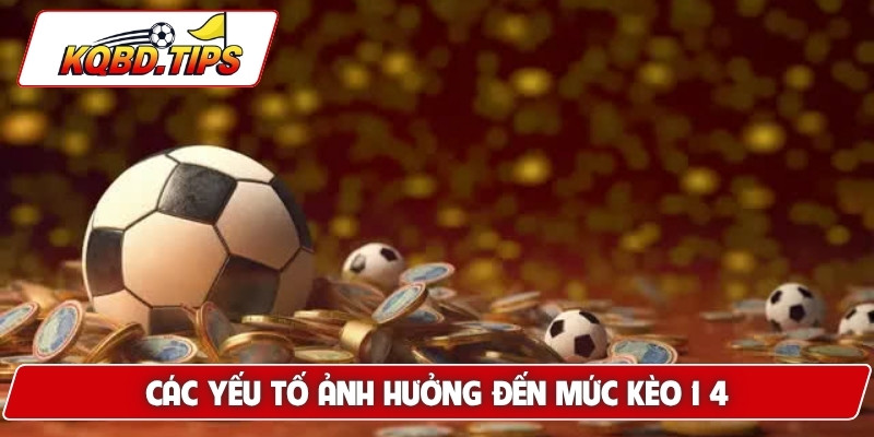 Các yếu tố ảnh hưởng đến mức kèo 1 4